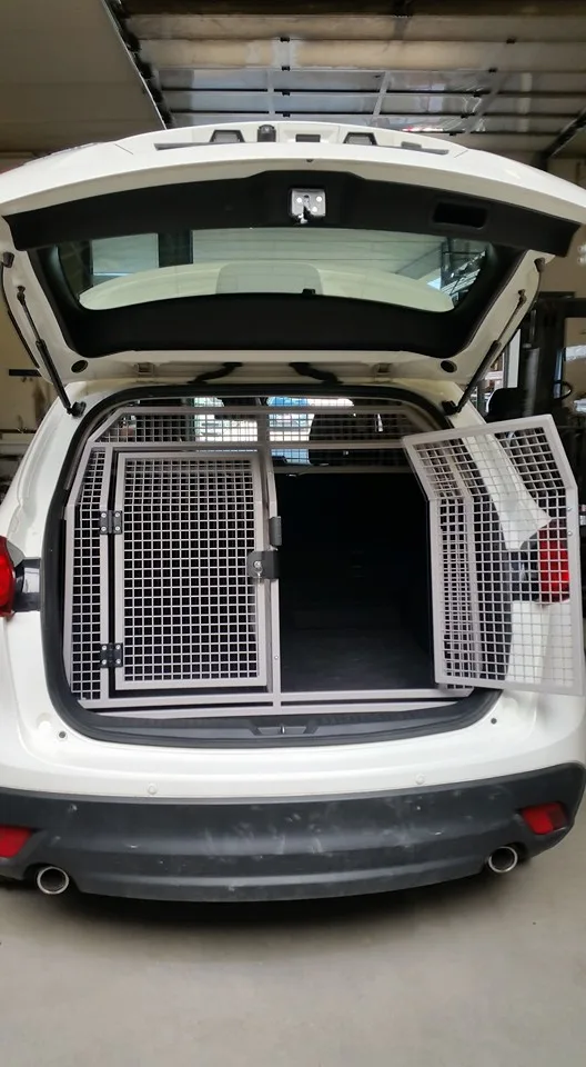 Hundebox im Heck eines weißen SUV
